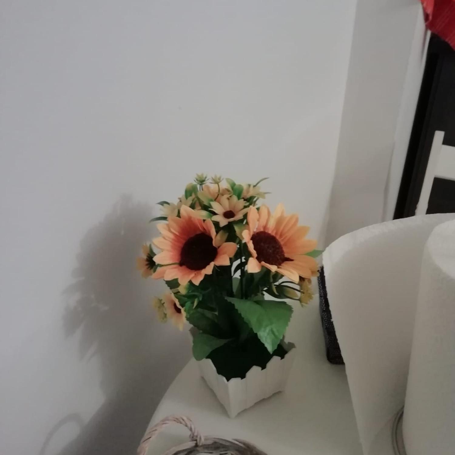 Affection Apartment Bologna Esterno foto